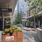 1204/1 Gearin Alley, MASCOT, NSW 2020